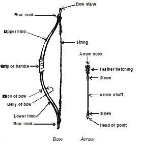 Parts of the Bow and Arrow